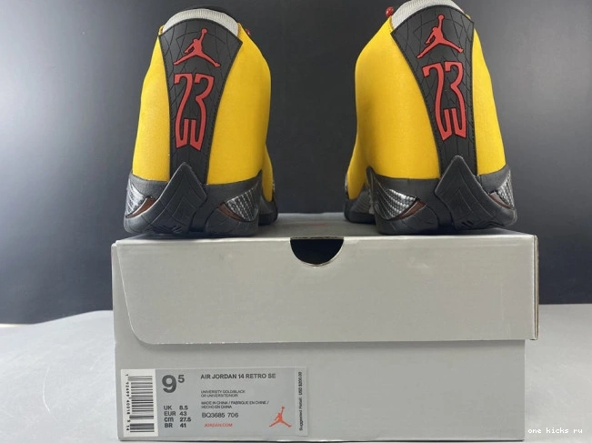 Chep Onekick AIR BQ3685-706 JORDAN 14 GOLD UNIVERSITY RETRO 0529
